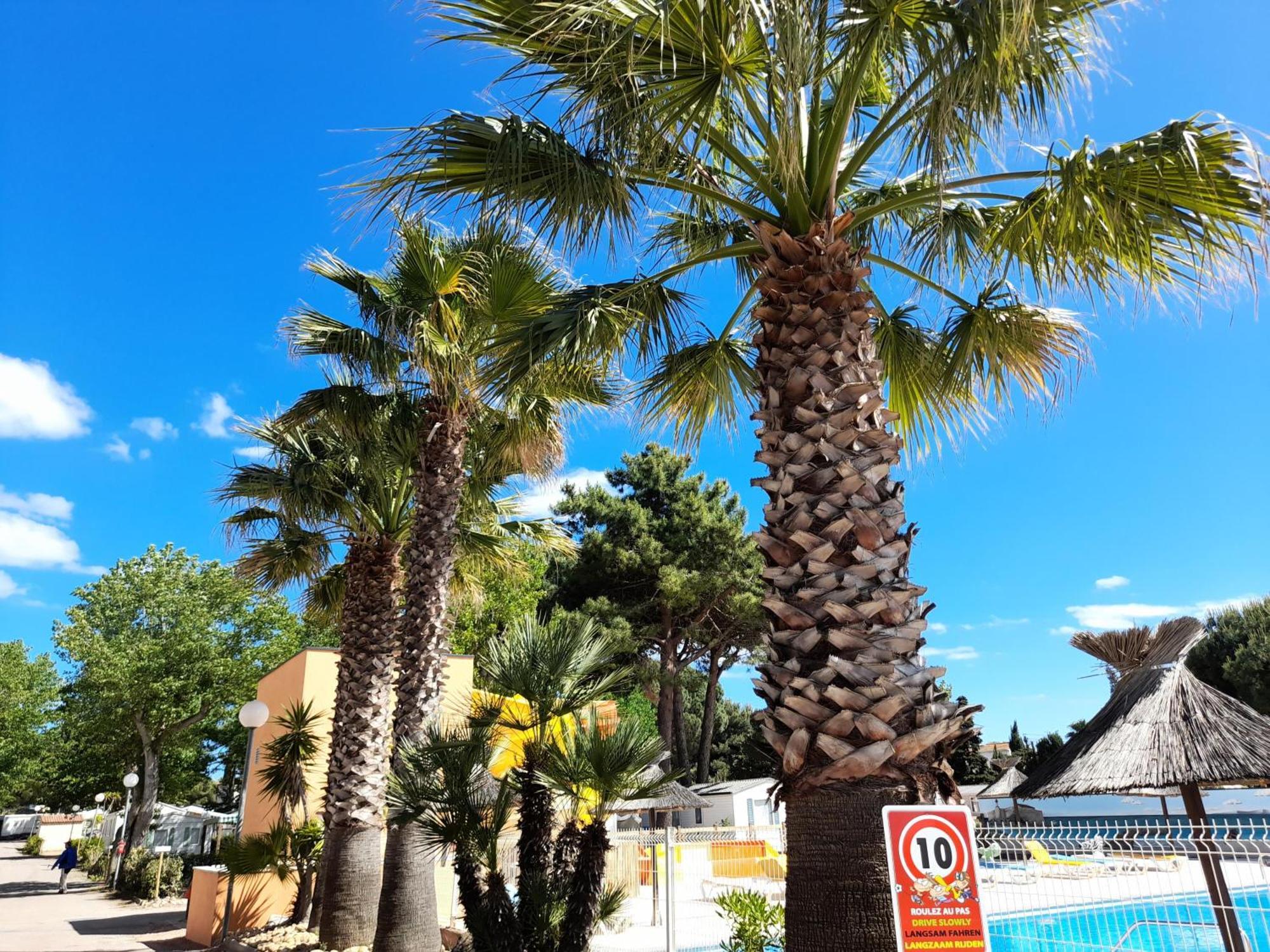 Le Grau-dʼAgde Camping Les Jardins D'Agathe - Maeva מראה חיצוני תמונה